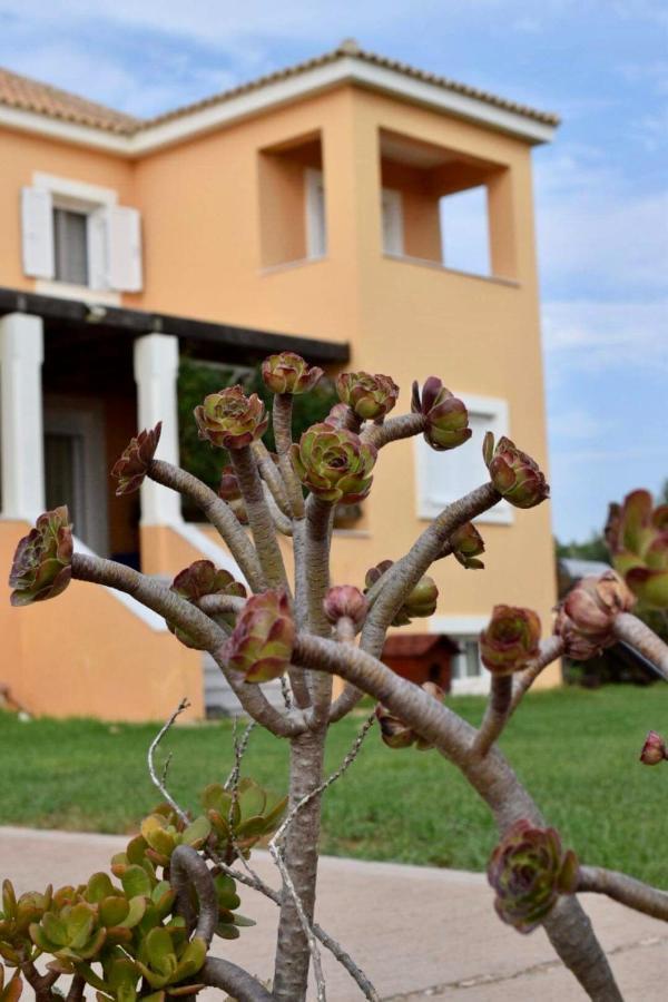 Boutique Hotel Ileas Village Arkoudi Buitenkant foto